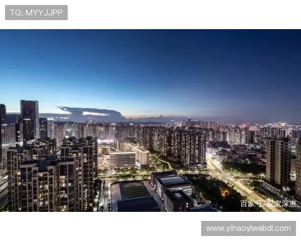 壹号国际.wwc：打造高端商务交流与合作的理想选择