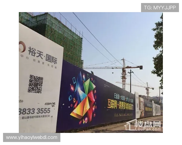 壹号国际网页版：全面介绍与最新功能解析