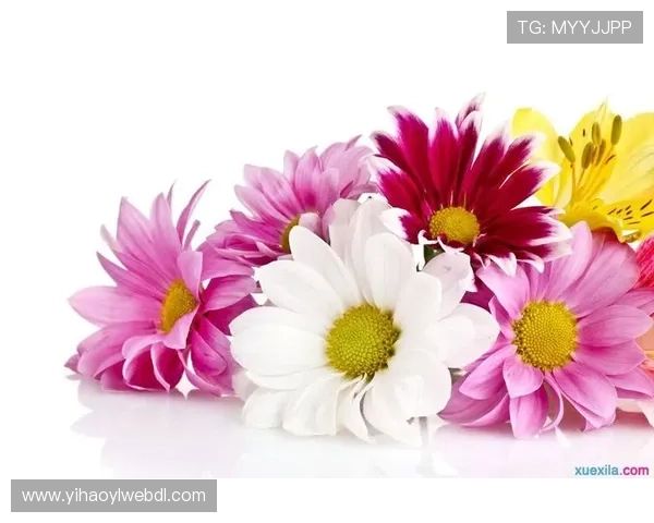 壹号娱乐登录入口:官方授权的壹号登录入口,保障您的账户安全 壹号娱乐登录入口:官方授权的壹号登录入口,保障您的账户安全